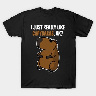 I Just Really Like Capybaras OK ? Cute Toddlers Kids product T-Shirt